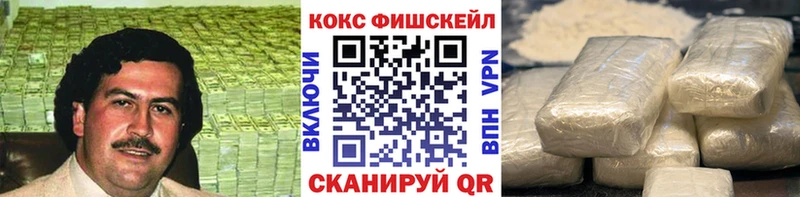 COCAIN Fish Scale  где купить наркоту  Октябрьск 
