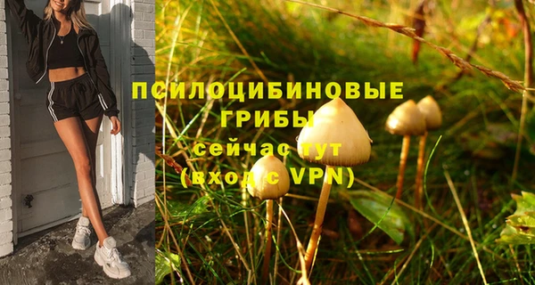 MESCALINE Горняк